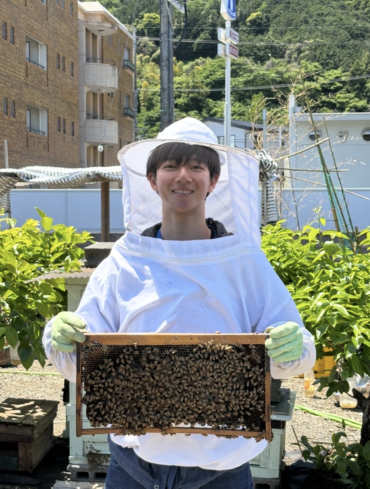 ミツバチが付いた巣枠を手にする様子